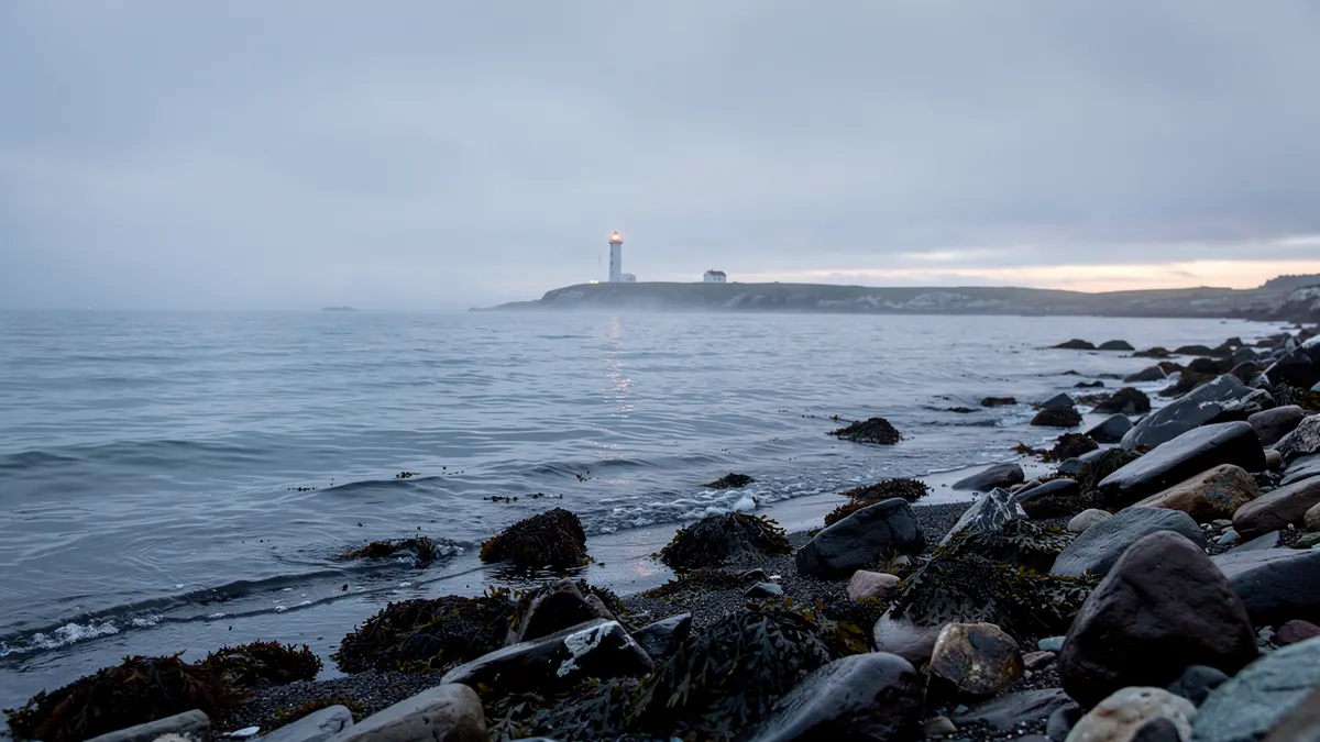 UGC Creators in Rimouski